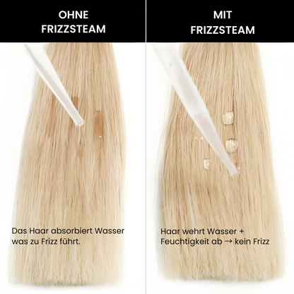 FrizzSteam - Premium Anti-Frizz Spray